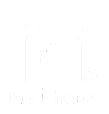 labraceロゴ